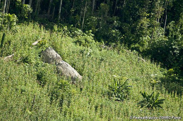Ultimii oameni liberi de pe Terra. S-a mai descoperit un trib izolat in Amazon. Cum traiesc
