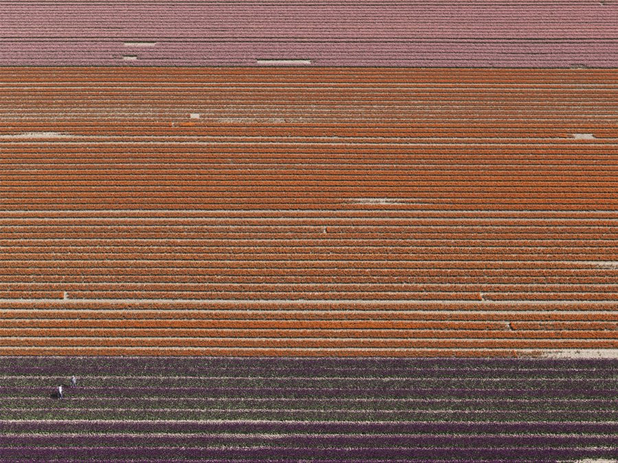 GALERIA FOTO care iti arata cat de mica e omenirea. Testeaza-ti vederea, gaseste oamenii din imagine