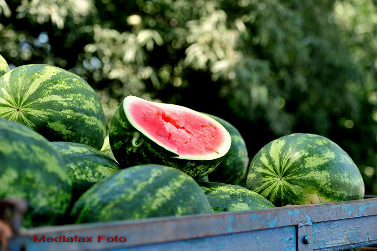 Cumparam plastic la pret de mici. ANPC: 43% dintre magazinele mari si mici ne fura la cantar.