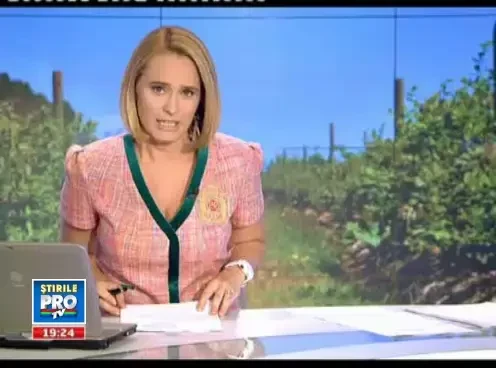 Romania stie sa piarda bani. Exportam fructe de padure si le cumparam inapoi ca gemuri si dulceturi