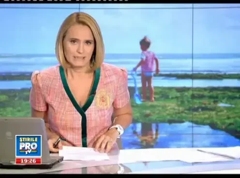 VIDEO. Mergi pe litoral? Tine-te de nas. Tone de alge au intrat in putrefactie din cauza caniculei