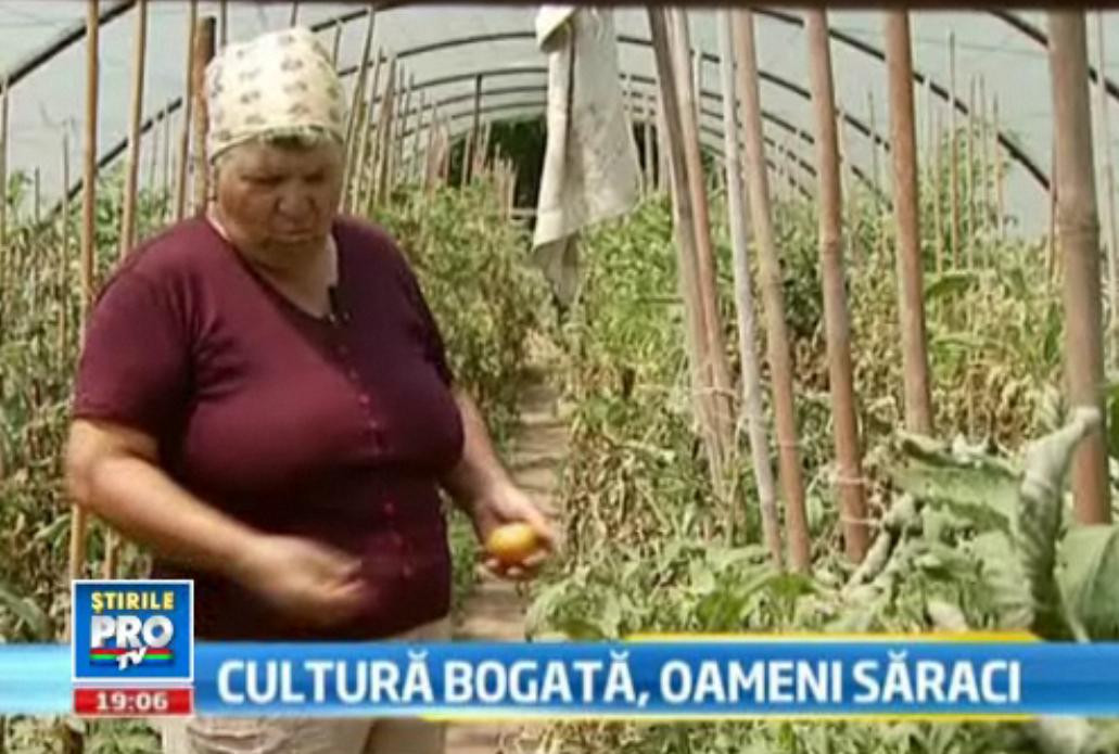 Drama taranului roman. Cum isi iroseste Romania cea mai buna recolta agricola din ultimii 10 ani