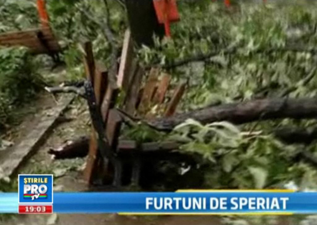 VIDEO. Dintr-un parc vechi de sute de ani din Cluj n-a mai ramas nimic. Furtunile nu iarta Romania