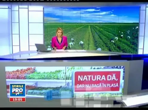 Drama taranului roman. Motivele pentru care cea mai buna recolta din ultimii 10 ani se iroseste