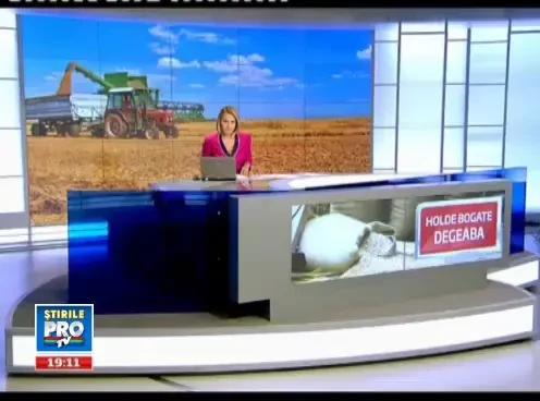 Exemplul Nicu Nita. Daca ar avea unde sa-si tina recolta record de grau, si-ar dubla veniturile