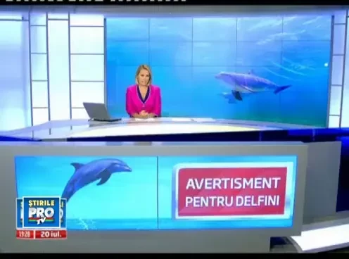 Delfinii nu mai sunt prada usoara in plasa braconierilor. Ce solutie au gasit cercetatorii romani