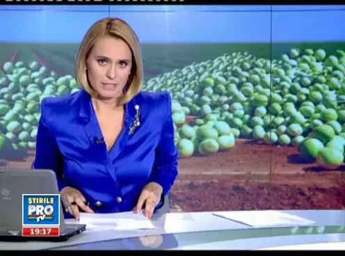 Se alege praful de super-productia de pepeni. Cum a ajuns lubenita sa putrezeasca la soare