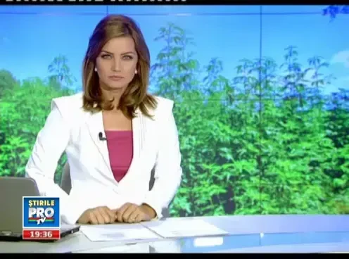 Ambrozia, inamicul public numarul 1 in Romania. Vezi ce afectiuni provoaca si cum te poti proteja