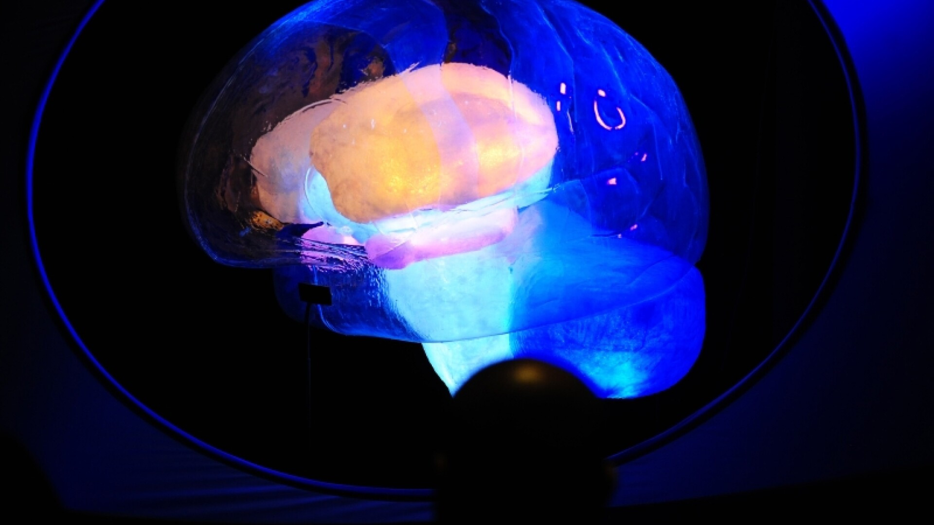 Descoperire uimitoare. Creierul nostru poate prezice viitorul. Afla explicatia specialistilor