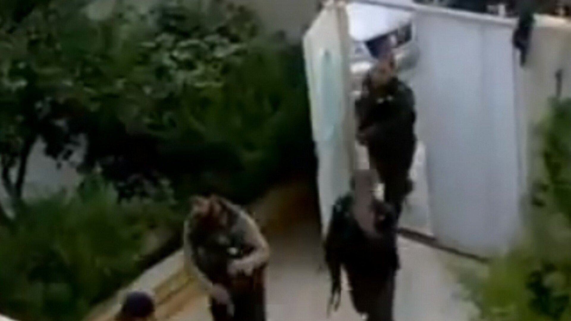 Doi barbati din Turda arestati pentru santaj si camatarie