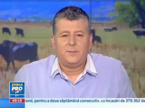 Super-vaci din import. Joienele din rasa Angus sunt cele mai profitabile