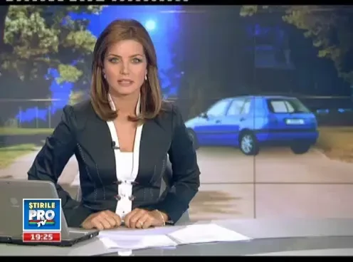 Lupte de strada pentru pechinezul Bobita. Cum a ajuns un catel de 25 de cm sa provoace isterie