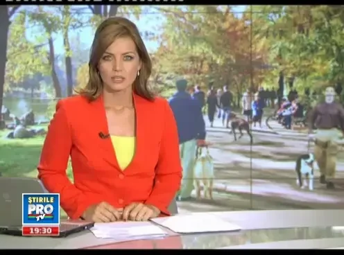 Solutia la problema animalelor fara stapan: castrarea celor care au proprietari