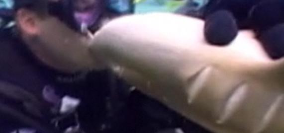 A pupat un rechin pe gura. Si rechinul i-a raspuns. Vezi cum. VIDEO