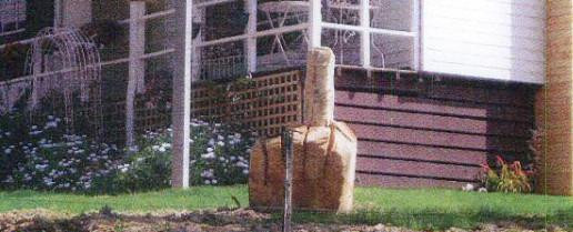 "Vecinul venit din Iad". Ce a facut un australian pentru a se alege cu asa porecla. FOTO