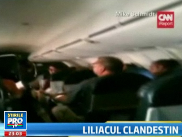 Panica la bord. Ce aparitie neasteptata i-a speriat pe pasagerii unui avion, in SUA