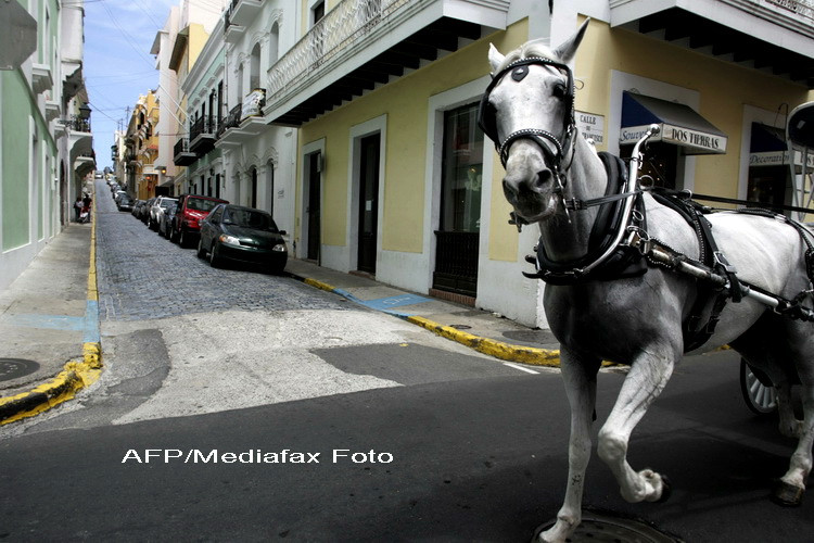 Un caraus beat crita da vina pe calul sau daltonist ca a trecut pe rosu