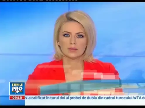 Si-au lasat catelul in masina si au plecat la mall. Animalul a supravietuit la 67 de grade Celsius