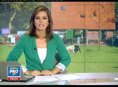 Ghita, detronat chiar la el acasa. Romanii cresc porc vietnamez: are mai putin colesterol