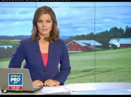 Pe cat de repede se inmultesc iepurii, pe atat sporesc banii.Fermierii cresc tot mai multi urecheati