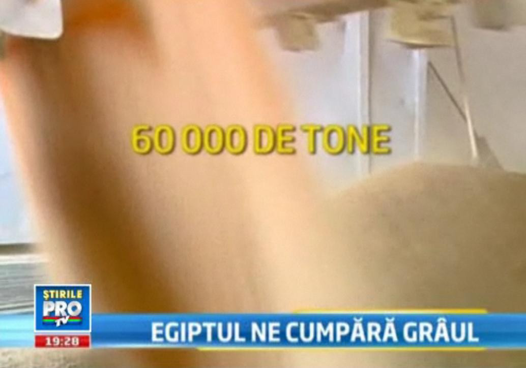 Egiptul a cumparat grau din Romania in valoare de 16.6 milioane de dolari