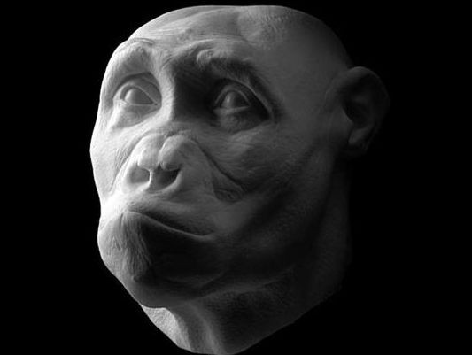 Inapoi la origini. Fotografii spectaculoase cu oameni care au trait in urma cu 6,8 milioane de ani