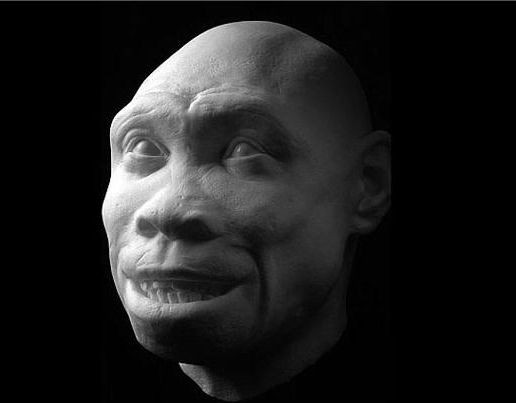 Homo erectus, primul maestru bucatar al planetei