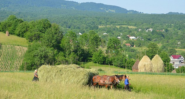 Accident stupid. O femeie a decedat dupa ce caruta cu fan in care se afla s-a rasturnat