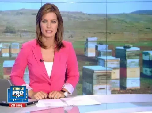 2007_19_afaceriinedite