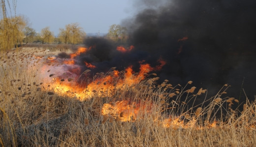 Bilant incendiar: 761 de miristi incendiate, mii de hectare mistuite de flacari, doi amendati