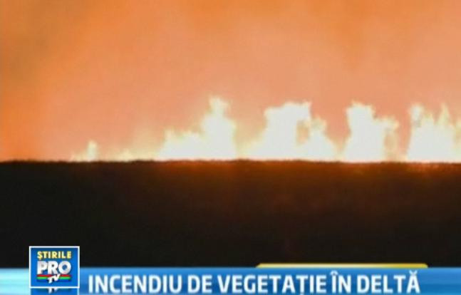 Iad in paradisul de la Vadu. Incendiul care a distrus 500 hectare de vegetatie, provocat de turisti