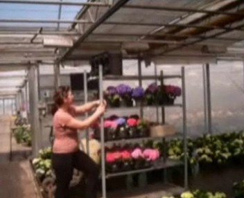 Vreti o schimbare radicala? Danemarca si-a deschis larg portile pentru romanii harnici si cinstiti