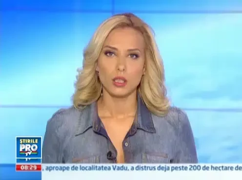 Show aerian indoliat. Pilotul care a stiut ca va muri, dar a salvat vietile spectatorilor