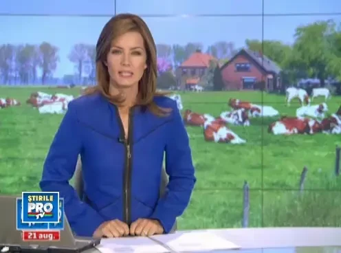 Vreti o schimbare radicala? Danemarca si-a deschis larg portile pentru romanii harnici si cinstiti