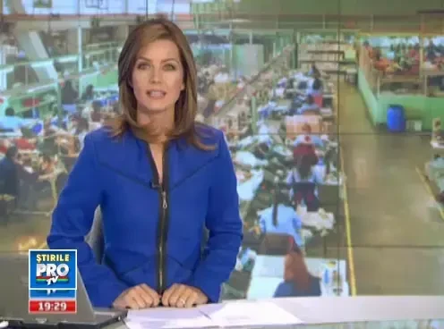 19firme_motivationale