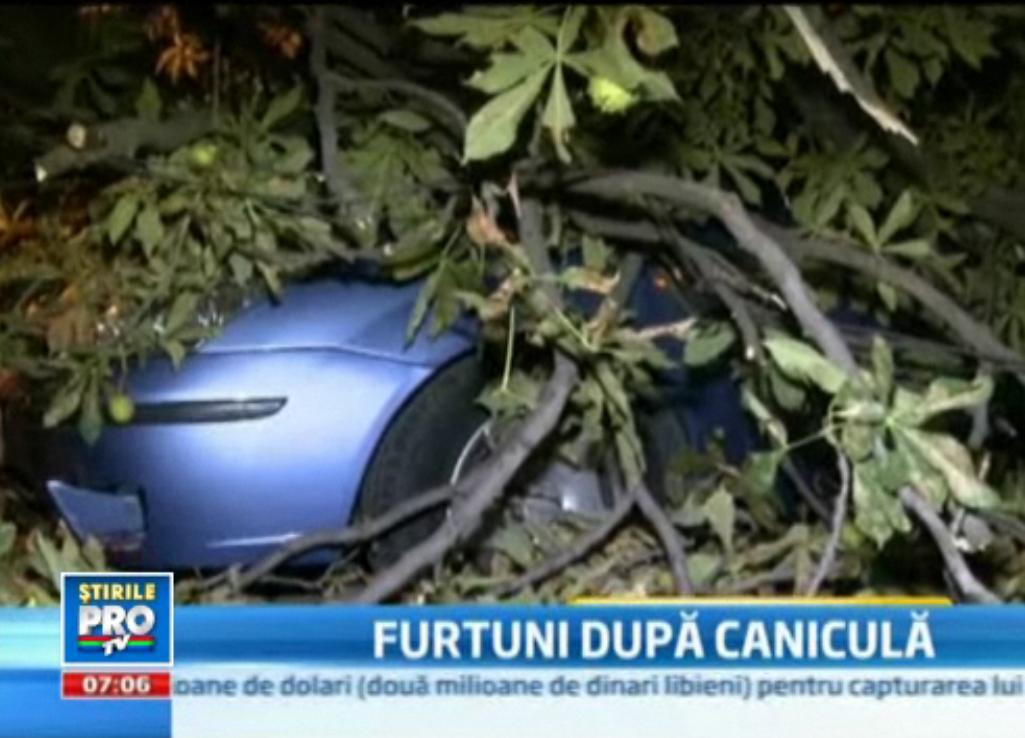 VIDEO. Abia mai vezi masinile de sub copacii cazuti. Cum arata Capitala dupa furtuna de miercuri