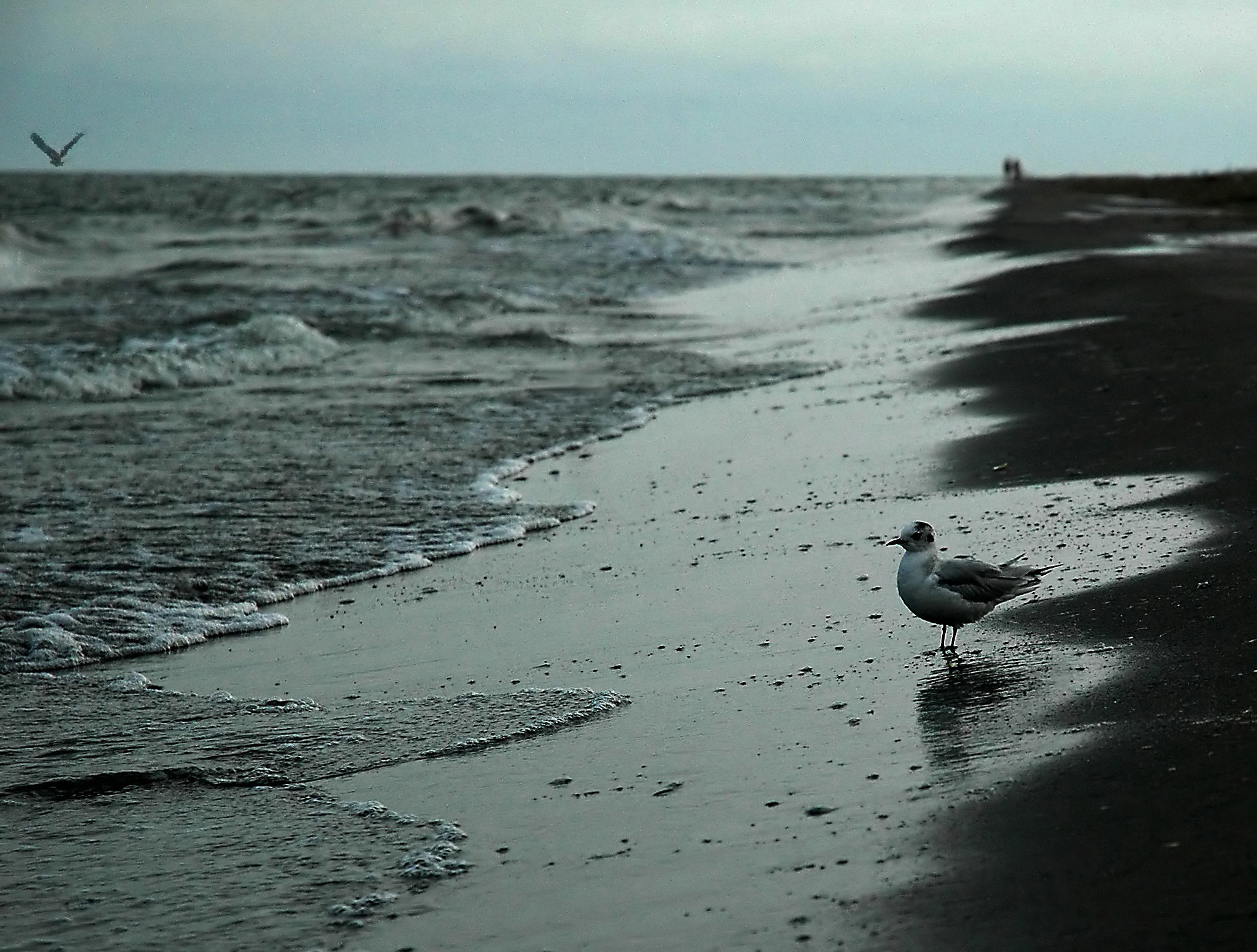 Au ignorat steagul rosu arborat de salvamari si au platit cu viata