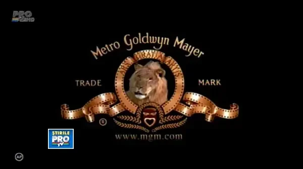 jurnal13_2011_08_28_14_02_44