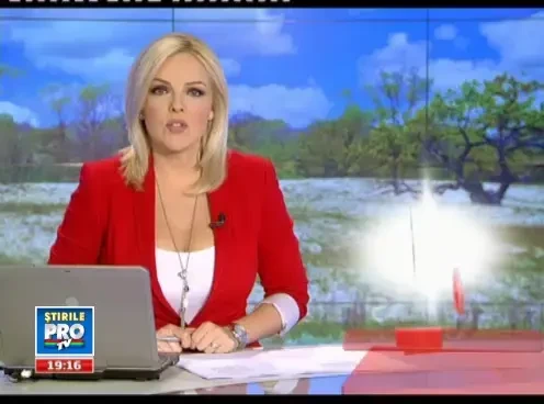 Sfarsit fericit pentru caii salbatici din padurea Letea, prinsi si torturati de localnici