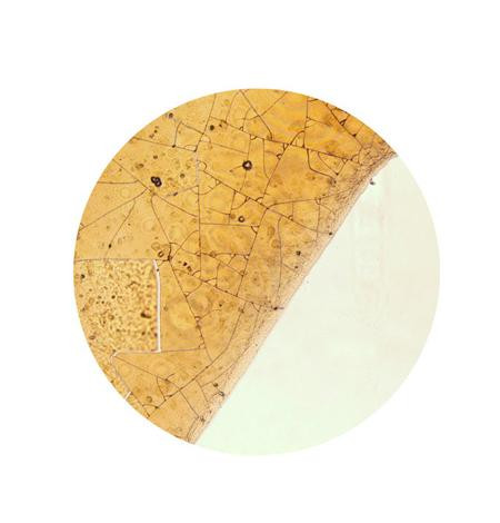 Le bei zilnic, dar nici nu stii cum arata. Cele mai banale lucruri din viata ta. Galerie FOTO