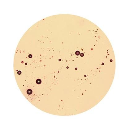 Vin microscop