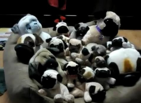 Problema zilei. Ghiceste care e adevarat din multimea de mai jos