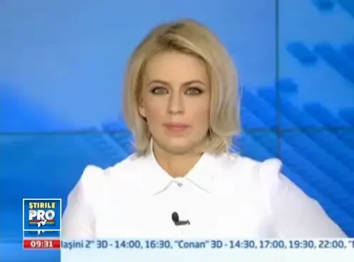 Imagini nerecomandate gurmanzilor. Un bulz de 20 de metri, preparat pentru pofticiosii din Sibiu