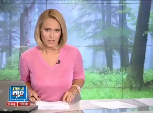 Poienita de galeti. In padurea de langa Bucuresti a rasarit o plantatie de marijuana