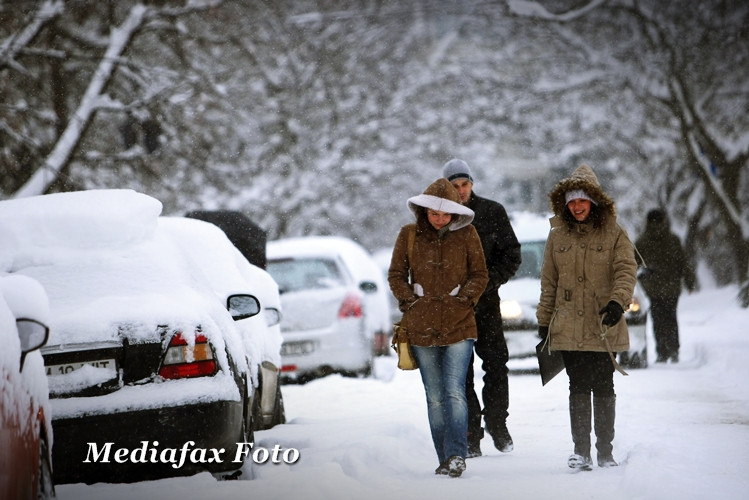 Arsenalul de lupta cu zapada asternuta pe drumurile din Timisoara