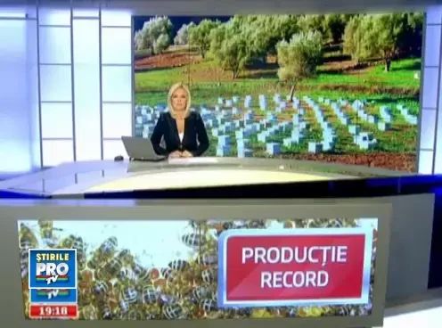 Apicultorii romani au cu se mandri! Au ajuns pe locul 4 in Europa, la productie de miere