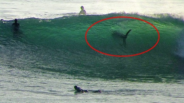 Imaginea care a speriat internetul ar putea fi doar o iluzie optica