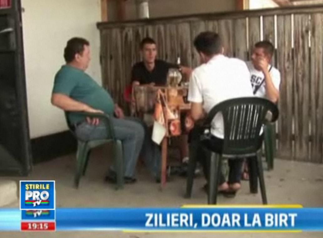 O recolta bogata care ar trebui sa se culeaga singura. Zilierii someri stau ciorchine in birturi