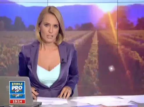 O recolta bogata care ar trebui sa se culeaga singura. Zilierii someri stau ciorchine in birturi