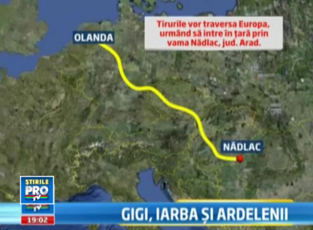 VIDEO. Drumul gazonului asteptat sa dreaga busuiocul. Becali pierde banii pe 30.000 de bilete